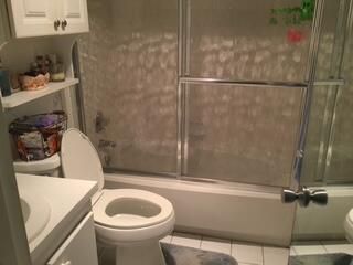 sabal palm bath 2