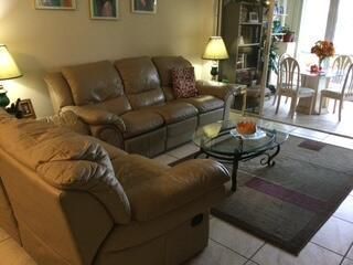 sabal palm livinf room and patio