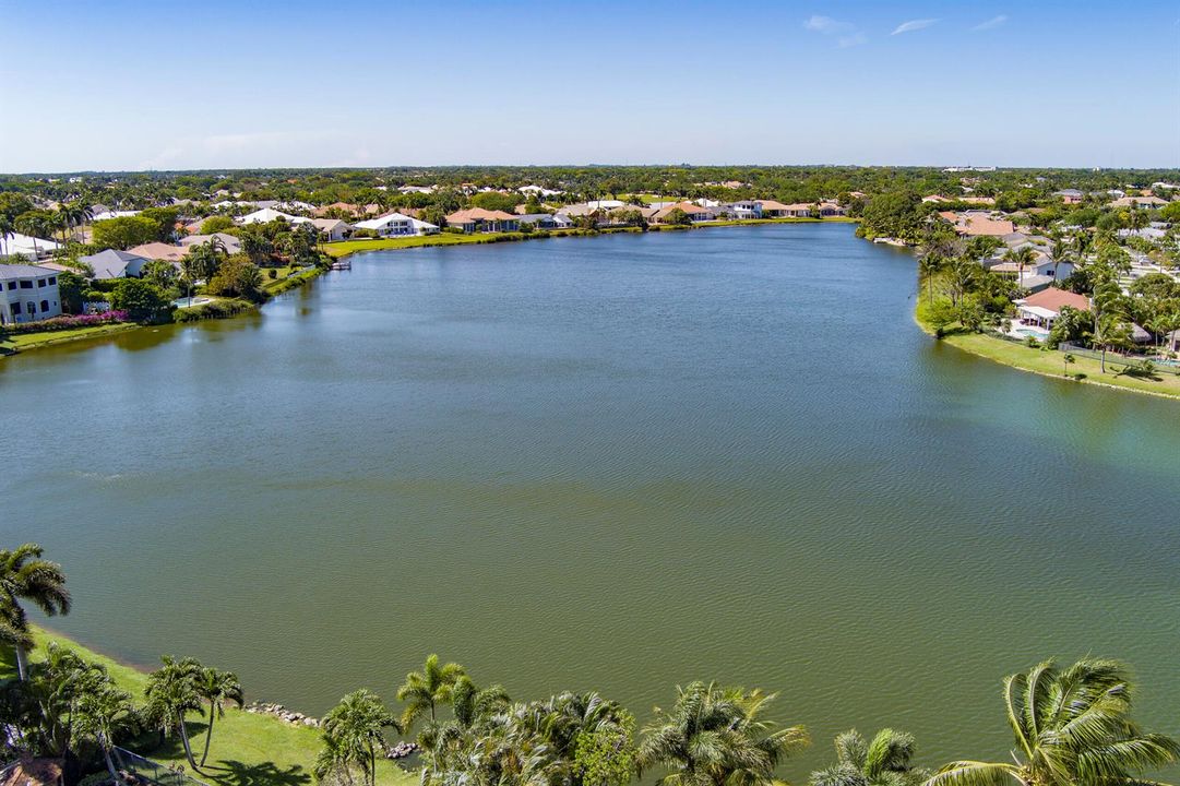 Pheasant Walk Community Lake Aerial