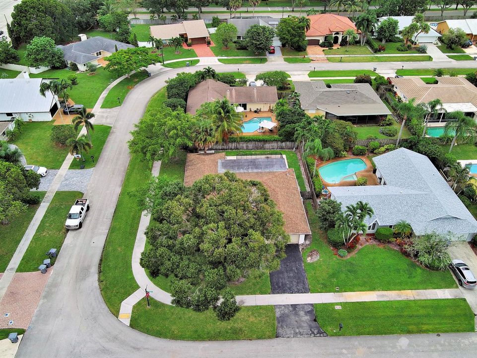 North Aerial View