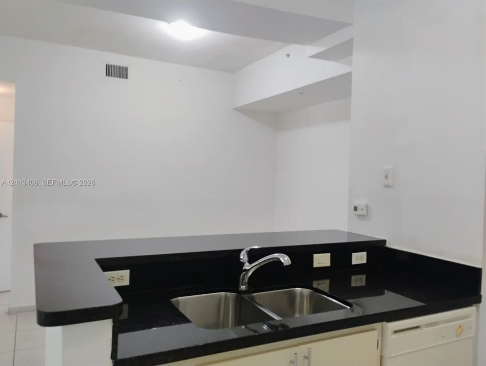 Countertop with a black surface and integrated dual-basin stainless steel sink featuring a chrome faucet and built-in dishwasher