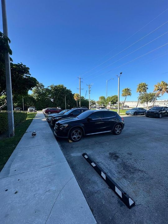 Asphalt parking lot featuring concrete pedestrian walkways, designated vehicle wheel stops, and perimeter landscaping with mature palm trees