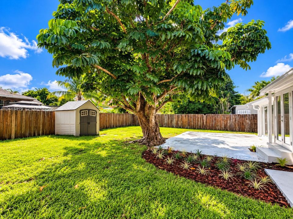 Backyard featuring a concrete patio, mature shade tree, privacy wood fencing, manicured lawn, and professional mulch landscaping