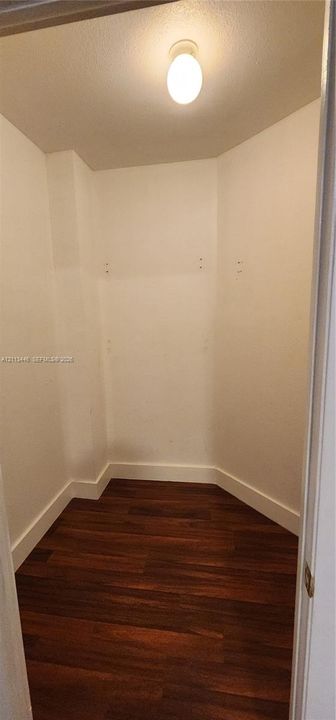 Enclosed storage alcove featuring wood-finish flooring and a flush-mount ceiling light fixture