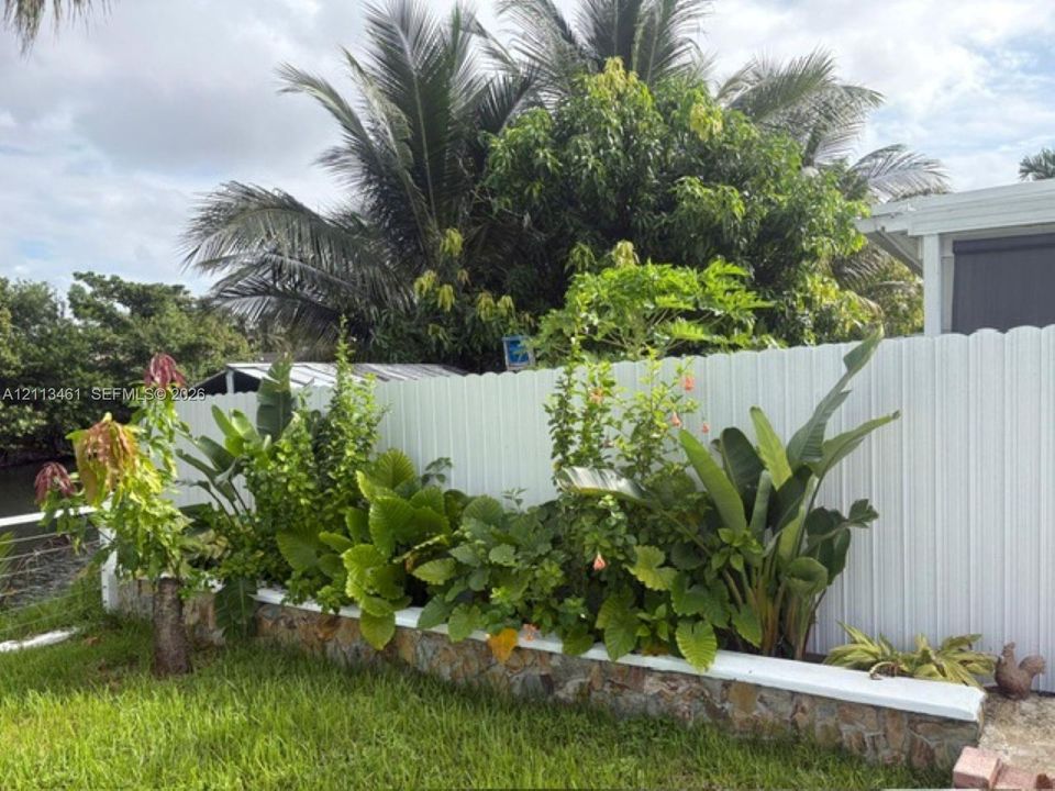 Raised stone-veneer garden bed with a white cap, accented by mature tropical landscaping and a white vinyl privacy fence