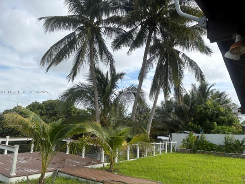 Outdoor deck with integrated railing, manicured lawn, and mature palm trees