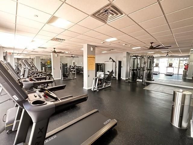 GYM 3