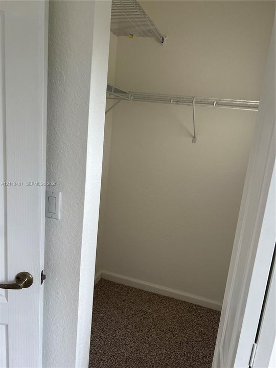 Walk-in closet featuring carpeted flooring and tiered wire shelving