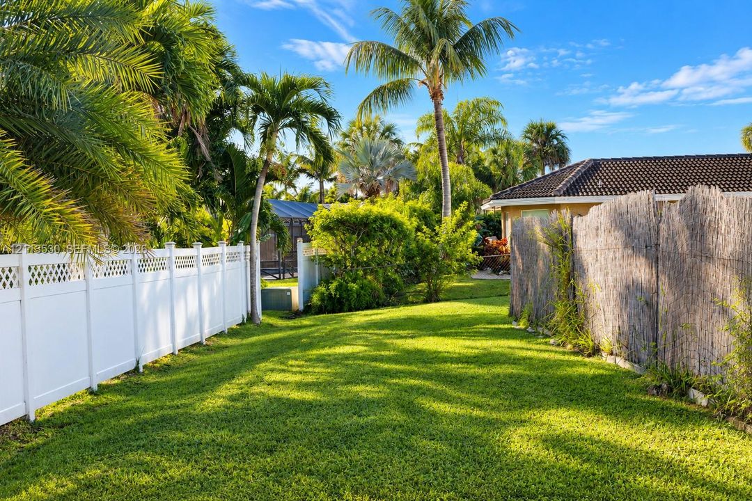 Expansive backyard featuring a manicured lawn, white vinyl fencing, natural reed screening, and mature palm trees