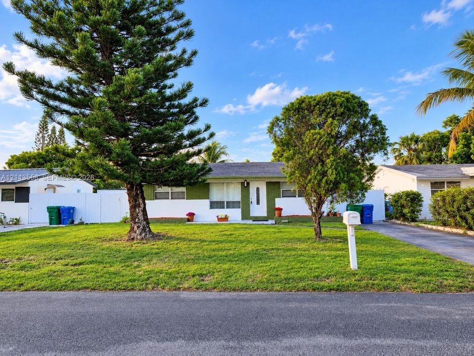 Single-story residence featuring a painted masonry exterior, white vinyl privacy fencing, asphalt driveway, and mature pine trees set within a landscaped front lawn