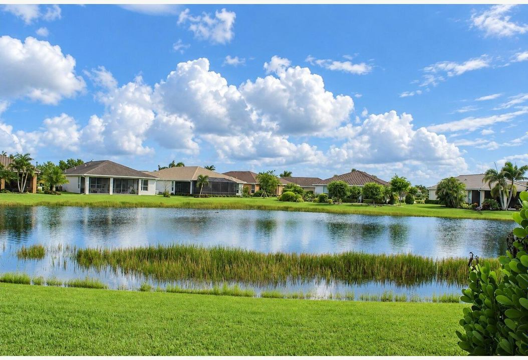 36_VS_Backyard_and_lake_setting