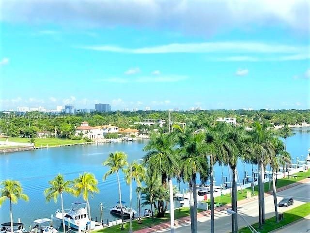 Waterfront setting featuring a deep-water canal, private boat slips, mature palm trees, and expansive horizon