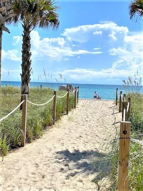 Sandy pathway with rope-lined wooden fencing leading to the ocean shoreline, accented by mature palms and coastal dunes