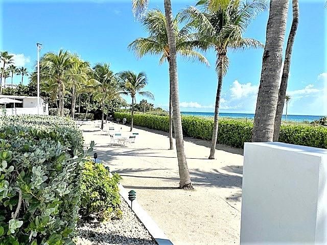 Sandy path lined with mature palm trees, dense manicured hedges, low-voltage landscape lighting, and oceanfront placement