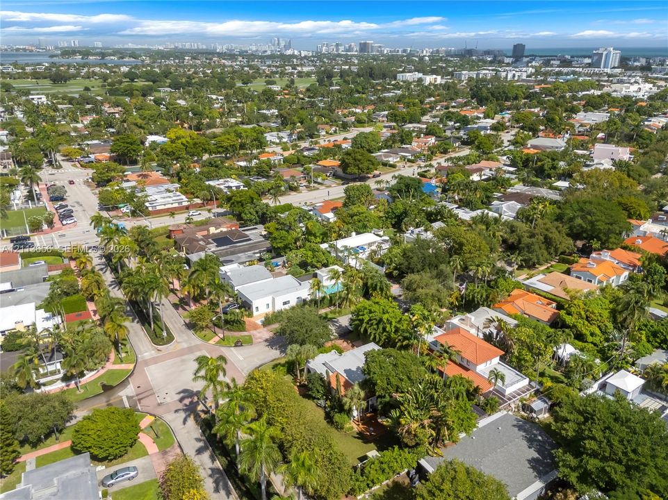 Aerial perspective of a dense urban environment featuring expansive tree canopy coverage, established residential street grid, and distant coastal skyline