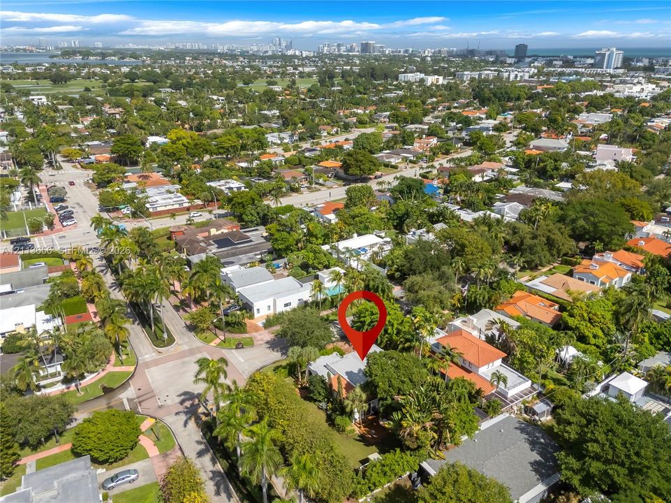 Aerial perspective of a corner lot featuring mature palm trees, dense canopy vegetation, and established landscaping