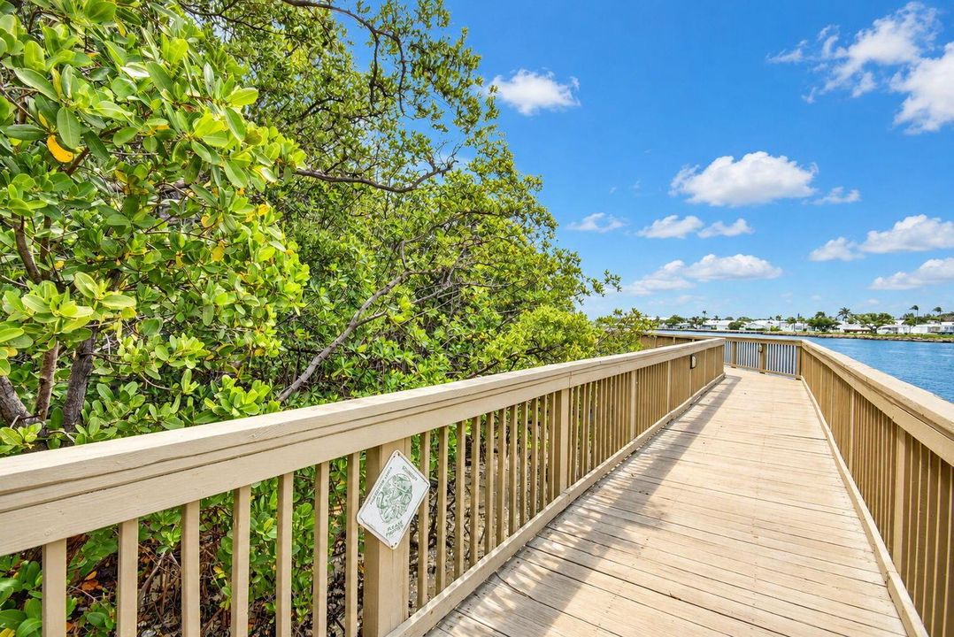 The Mangrove Boardwalk