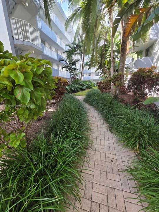 Brick-paver pathway lined with mature palm trees, tropical landscaping, and structural balconies