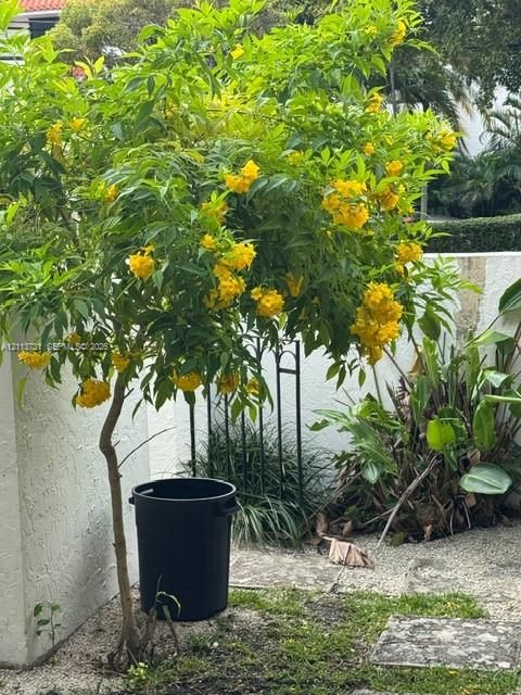 For Rent: $3,900 (2 beds, 2 baths, 1507 Square Feet)