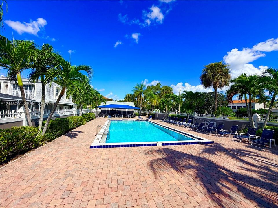In-ground swimming pool with tile surround, expansive brick-paver deck, and mature palm landscaping