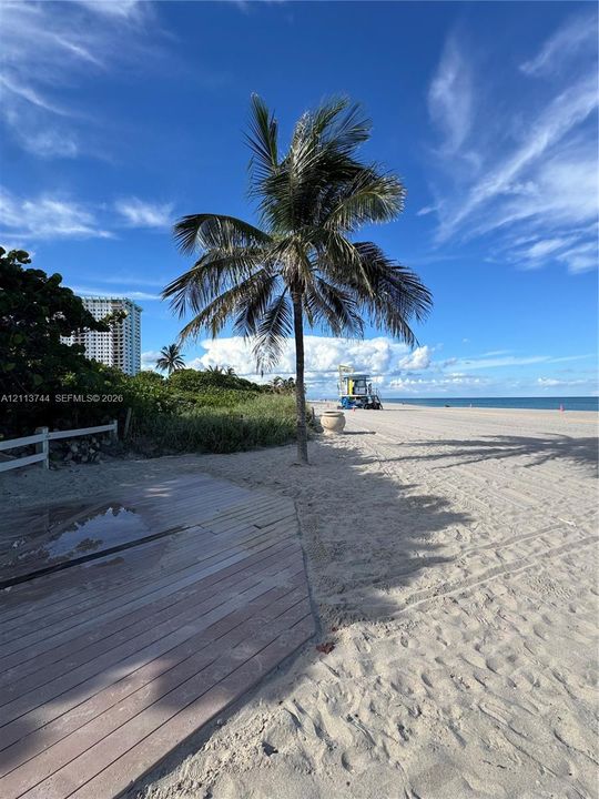 Sandy beachfront property featuring a timber boardwalk, mature palm trees, and native dune vegetation