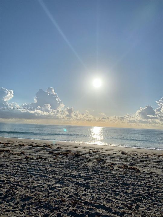Sandy shoreline featuring direct ocean access and coastal horizon