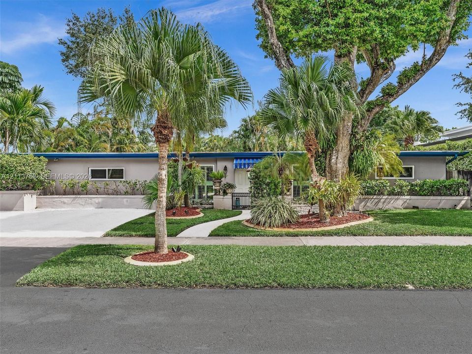 Single-story exterior featuring a concrete driveway, a paved walkway, established palm trees, and mature landscaping