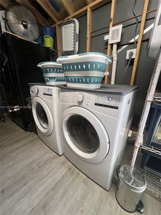 Free Laundry