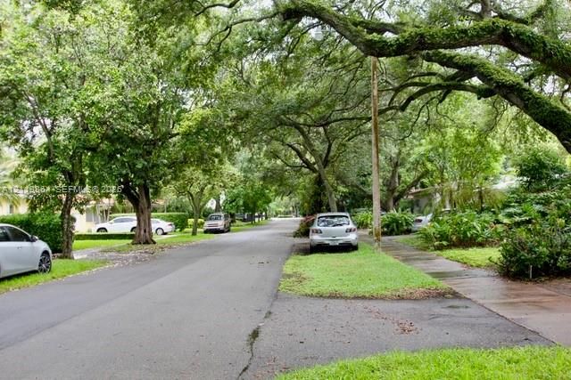 Asphalt street lined with mature canopy trees and manicured grass borders
