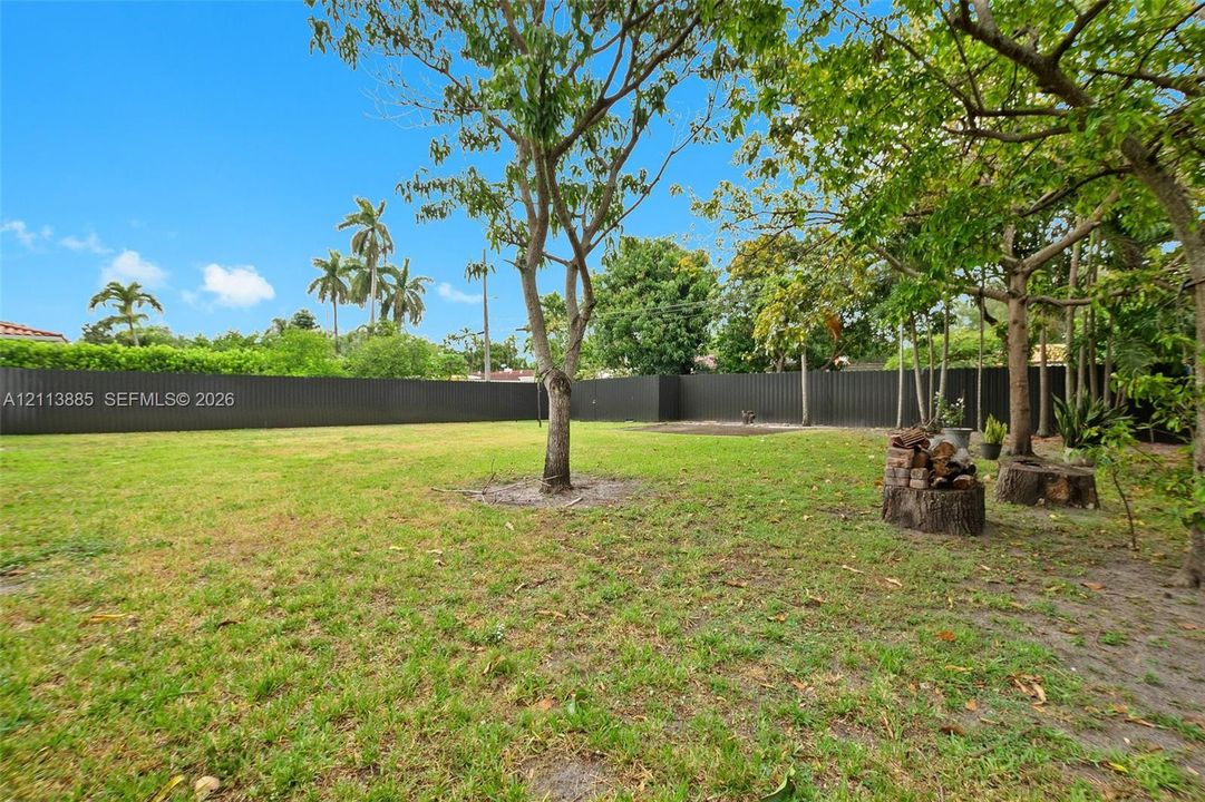 Expansive backyard featuring a solid perimeter fence, established trees, and natural landscaping