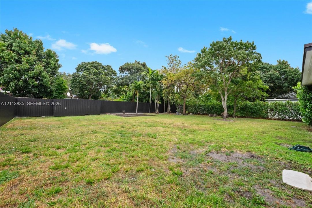 Expansive backyard featuring a grass lawn, mature trees, palm trees, and perimeter metal fencing