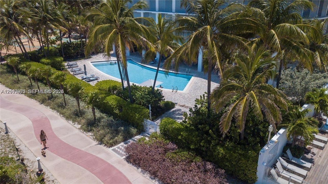 Swimming pool with stone-tiled decking and mature palm tree landscaping