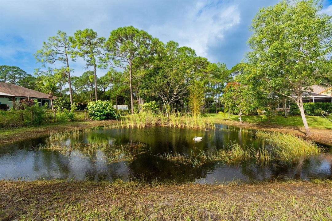 Private Fishing Pond