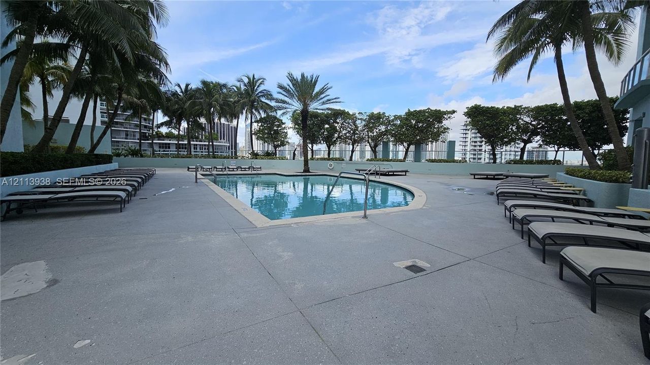 Swimming pool with concrete deck, perimeter palm trees, and structural privacy wall