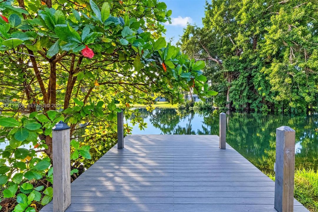 Private wooden dock featuring composite decking and integrated post-mounted lighting, positioned along a natural water feature with mature trees and foliage