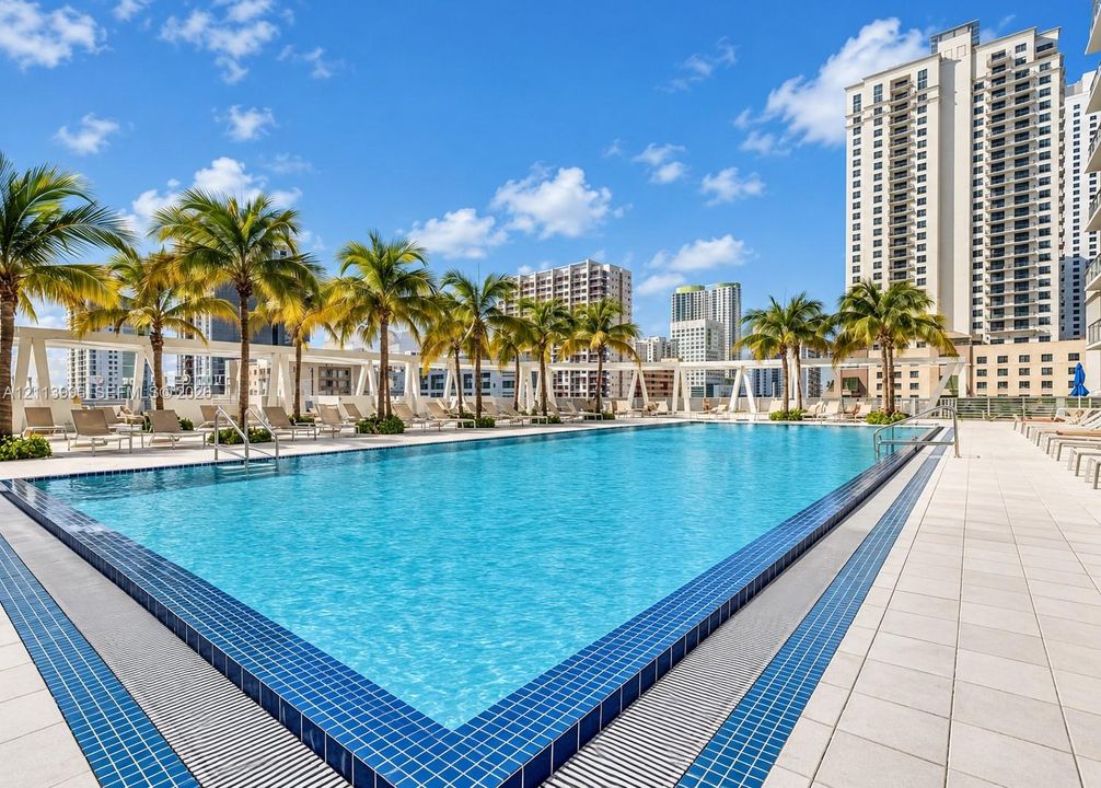 Rooftop swimming pool featuring a tiled deck, perimeter landscaping with palm trees, and structural pergola accents