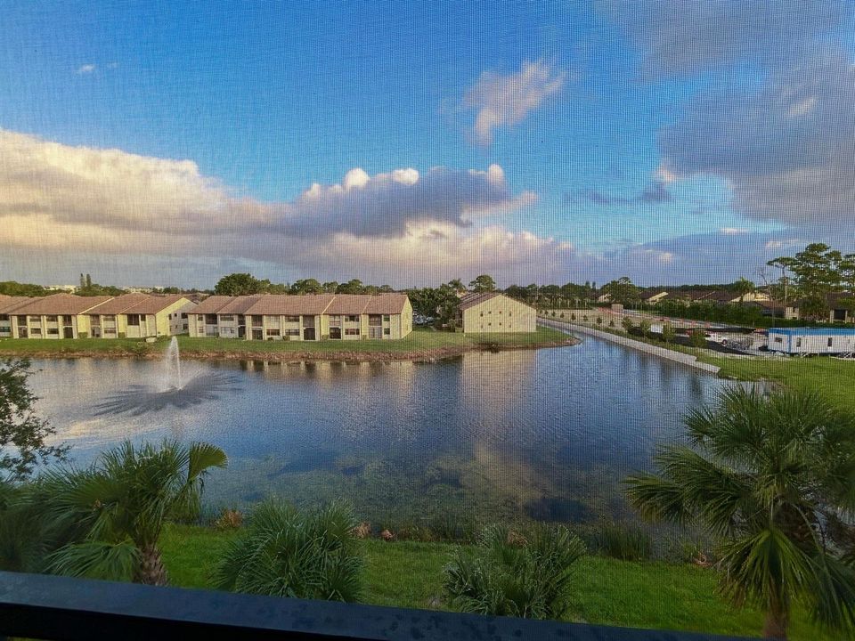 Fountain View