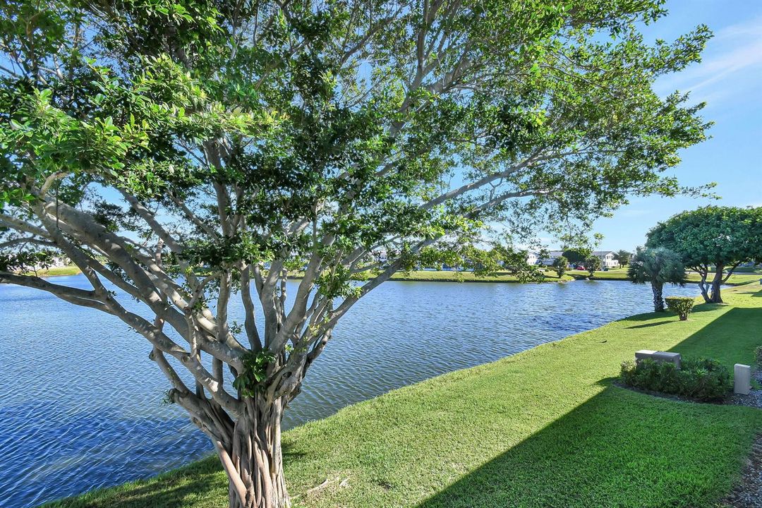 28-web-or-mls-Apartment (28)
