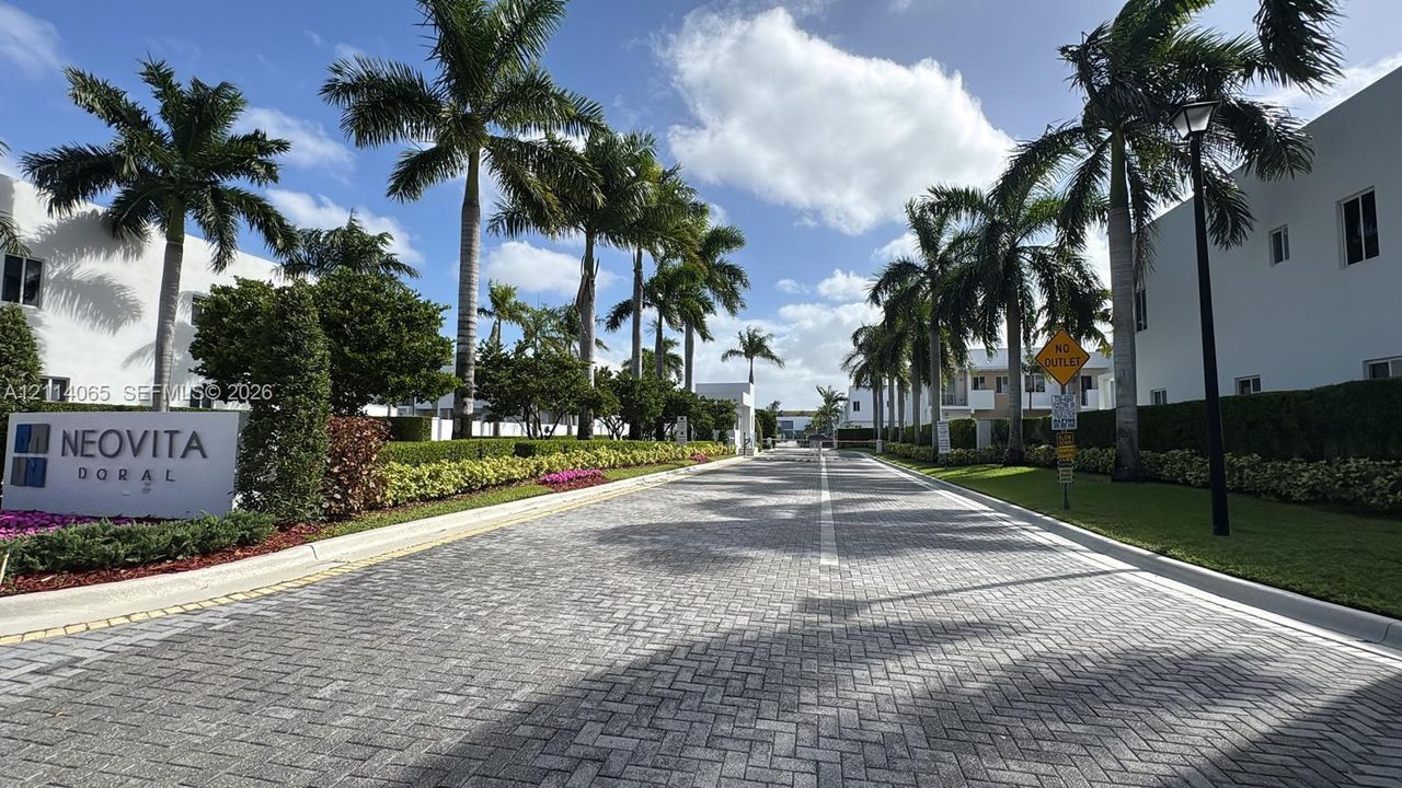 Paver-stone thoroughfare featuring mature palm trees, manicured hedges, and professional landscape lighting