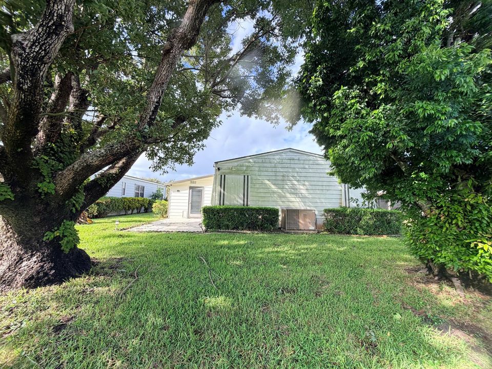 full backyard