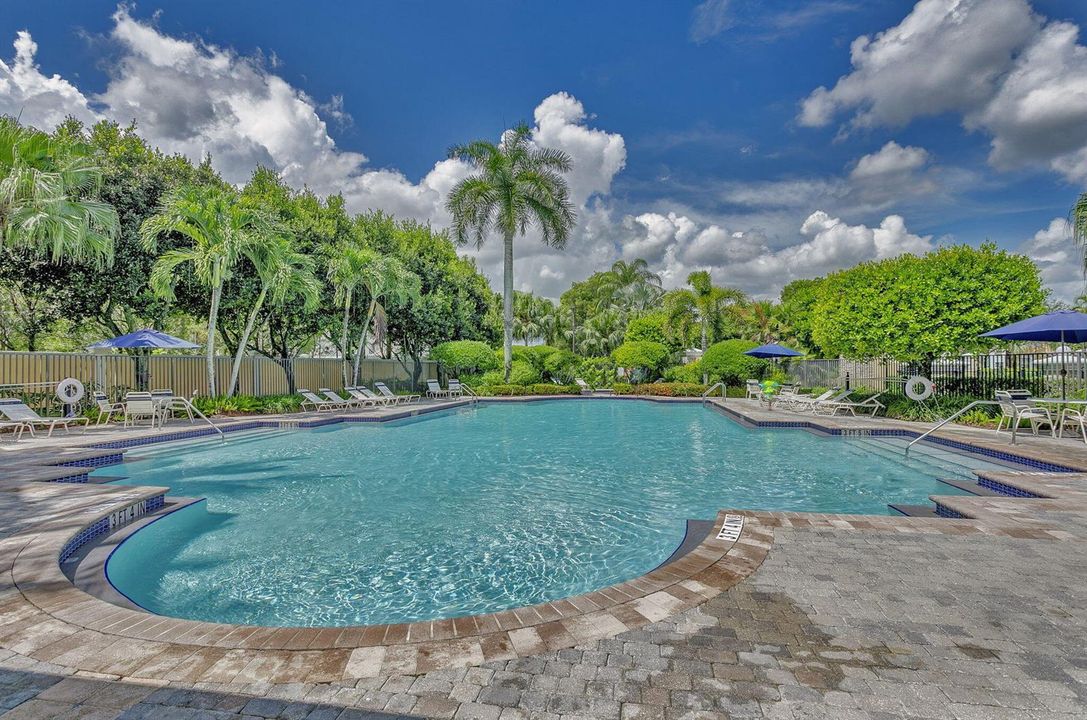83-web-or-mls-320A1284