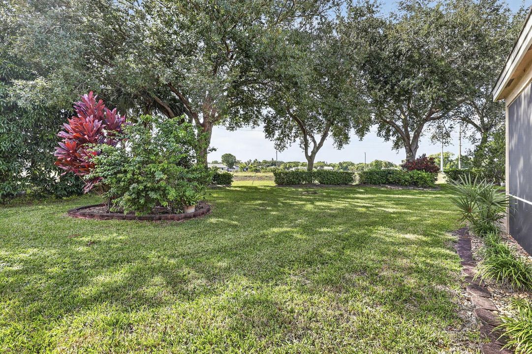 61-web-or-mls-BS1A1816