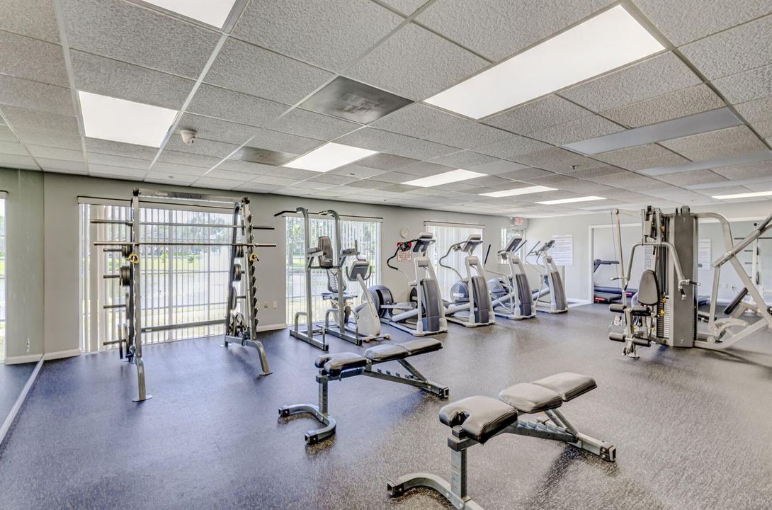 Wellington Edge Gym
