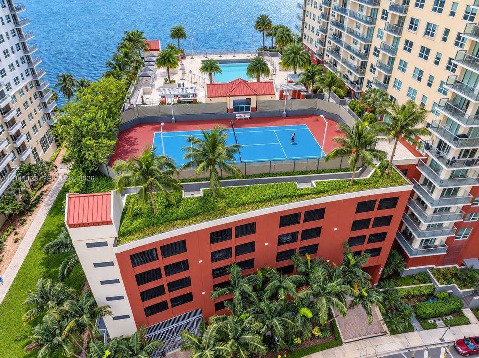 Rooftop amenities featuring a tennis court, swimming pool, mature palm trees, and waterfront perimeter