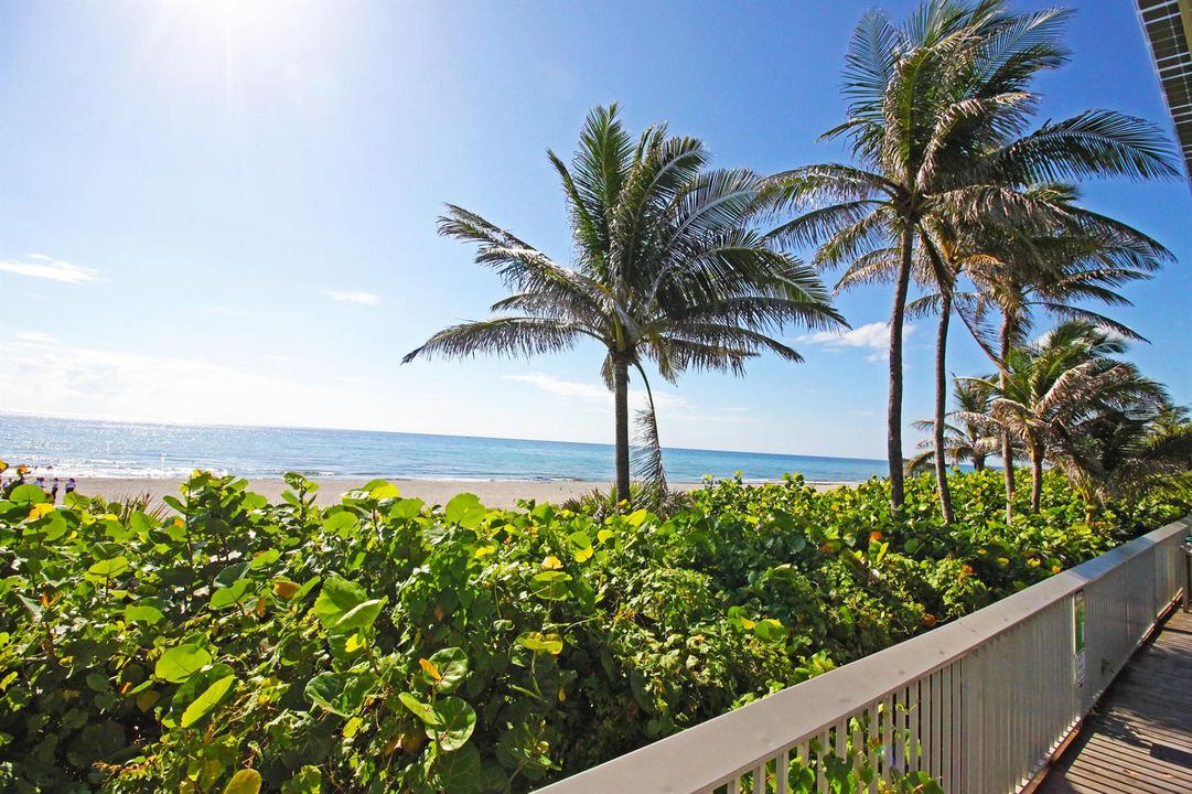Boynton Beach Views