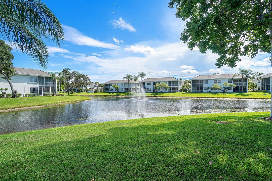Fountain Views