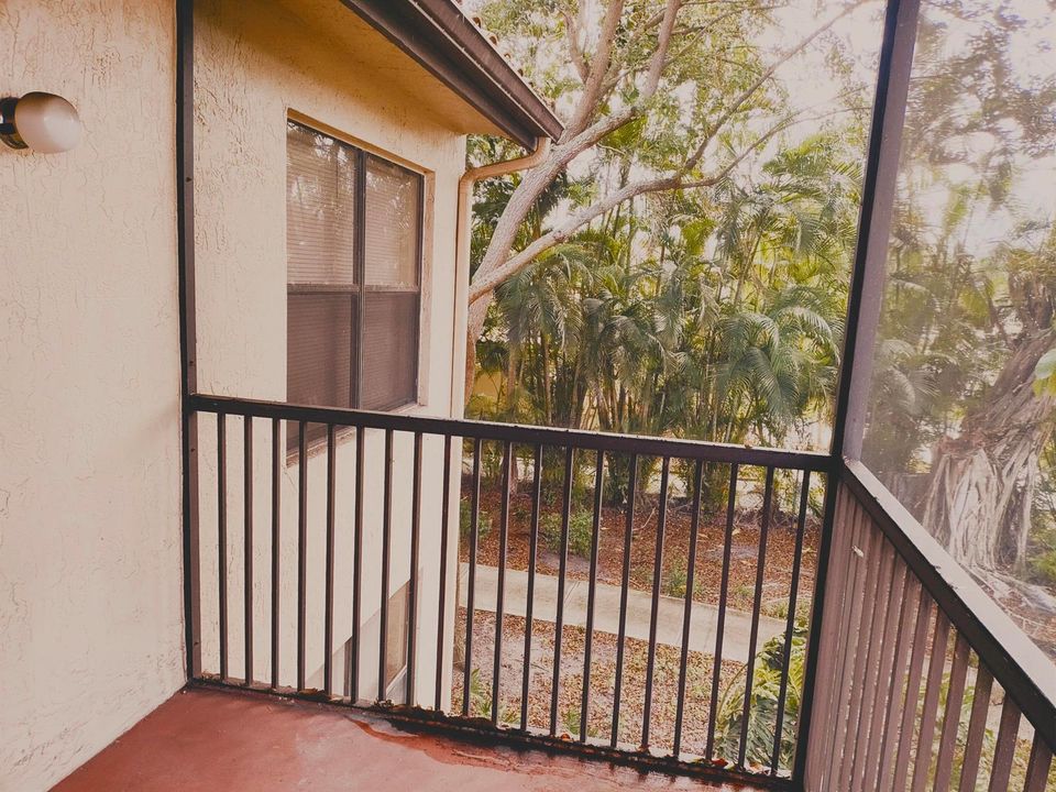 Patio 1