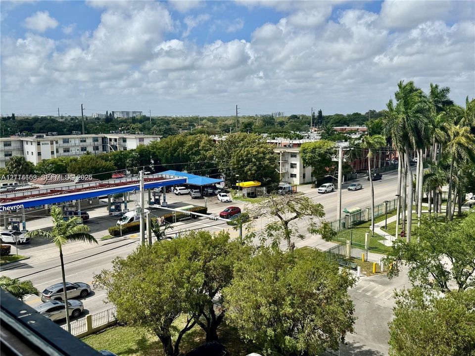 Elevated outdoor perspective featuring mature palm trees, landscaped green space, and surrounding urban infrastructure