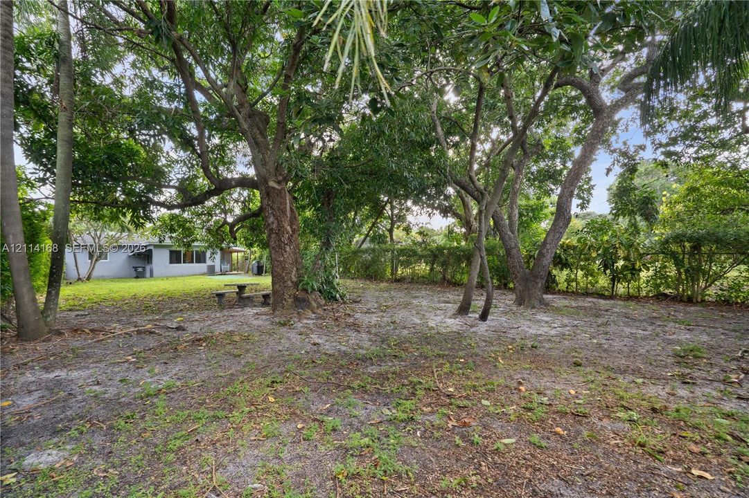 Spacious backyard featuring mature trees, a manicured lawn section, and perimeter vegetation