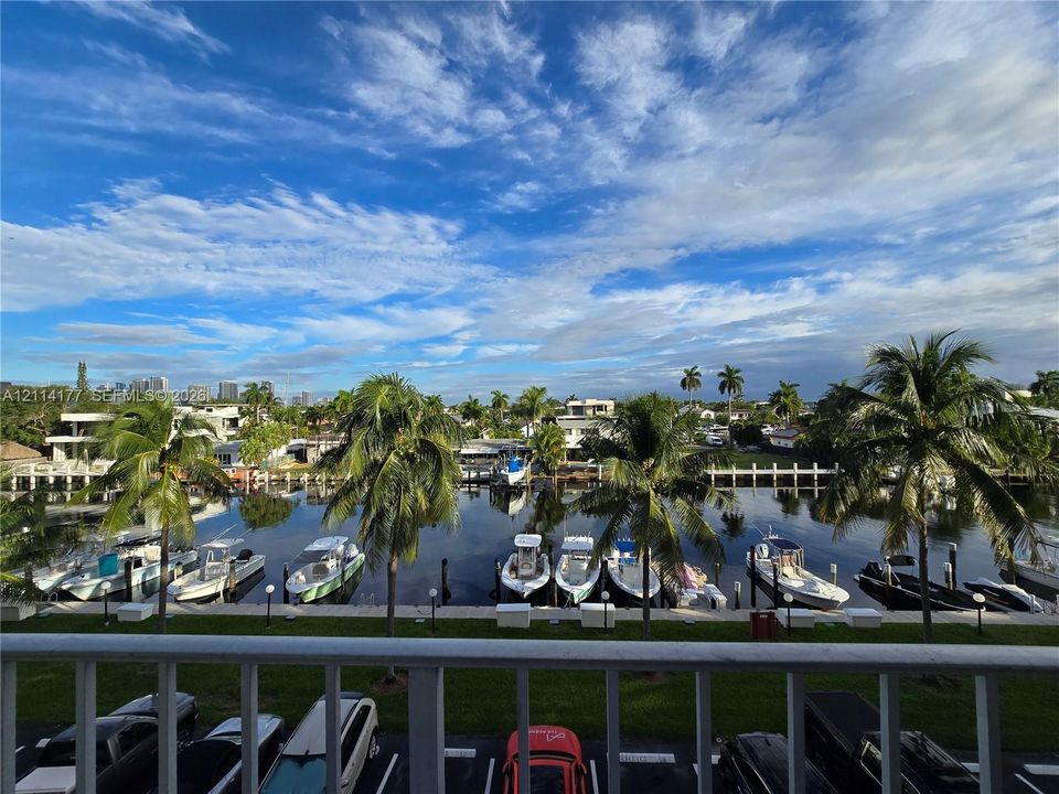 Waterfront scenery featuring a bulkhead, concrete dockage, mature palm trees, and a paved parking area
